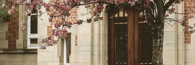 ceryyykk's profile banner image