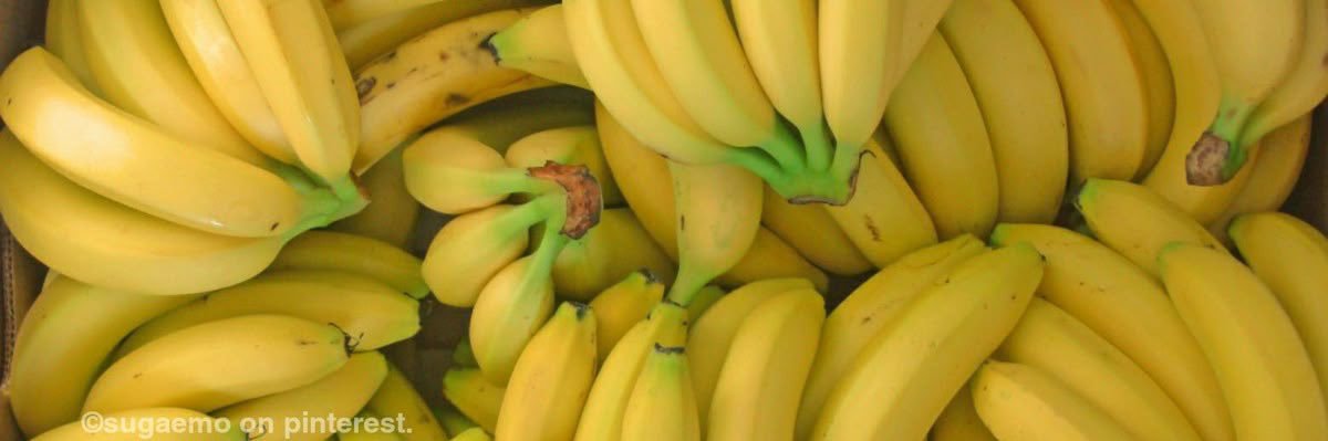 monkey of edtwt banner