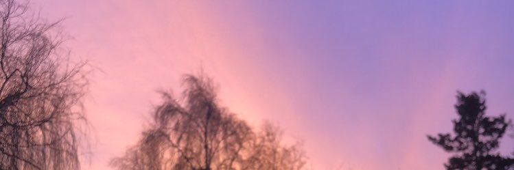 dorkydobby's profile banner image