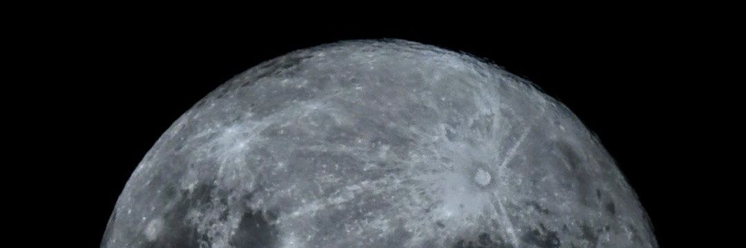 EL_N1's profile banner image