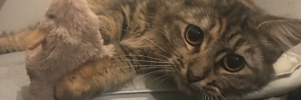 MrsGaGOD Profile Banner