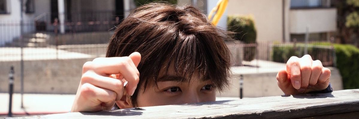 🐻🩷⭐️ banner