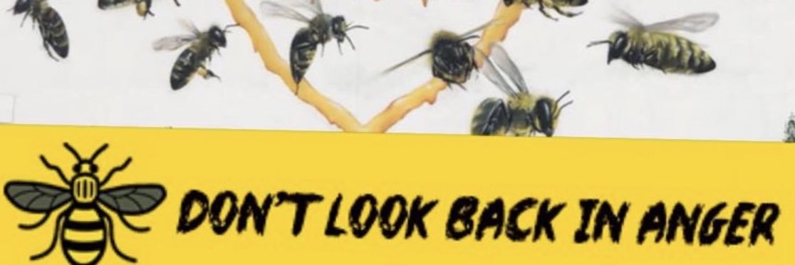 HallamMacca's profile banner image