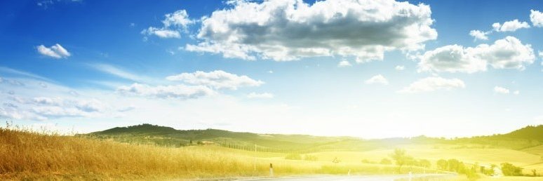 catmanzo's profile banner image