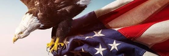 Elli 🇺🇸 banner