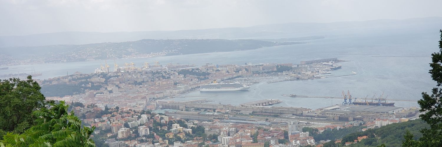L_Belulovich's profile banner image