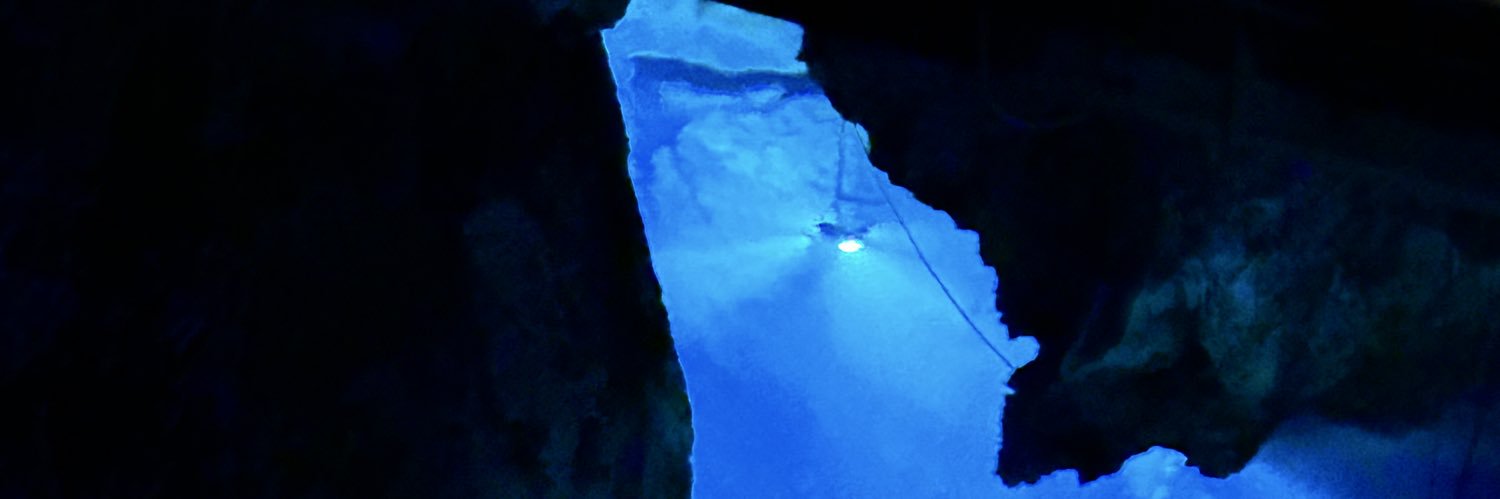 しー🐻‍❄️🏖️🍒✨️ banner