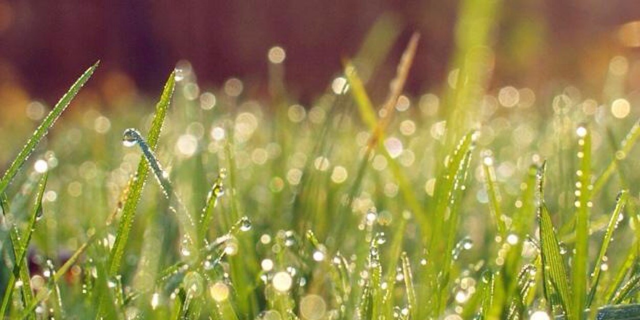 SaraBeckerink's profile banner image