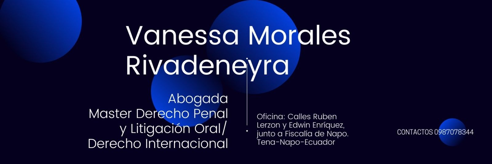 vanessa morales banner