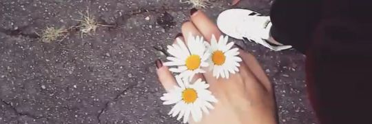 _CamilaGarzon's profile banner image