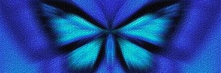 _isa banner
