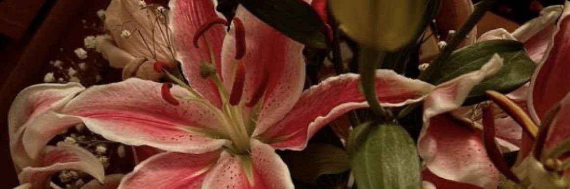 d banner