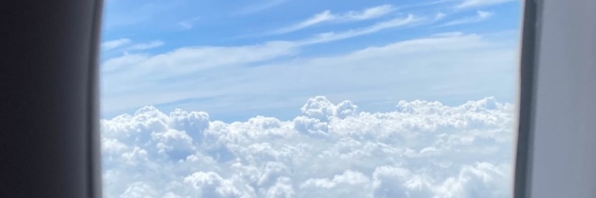 b.bell 🛎️ banner