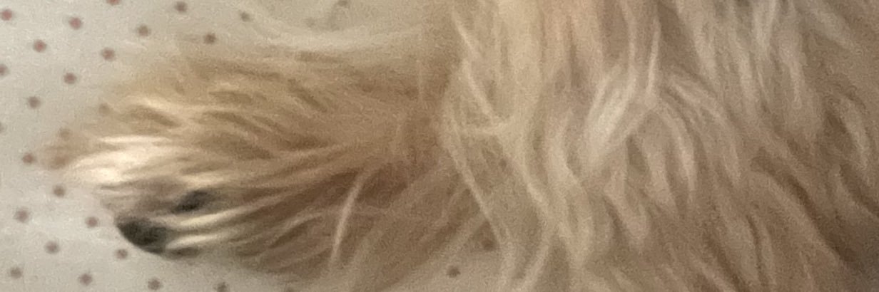 nnnn330050's profile banner image
