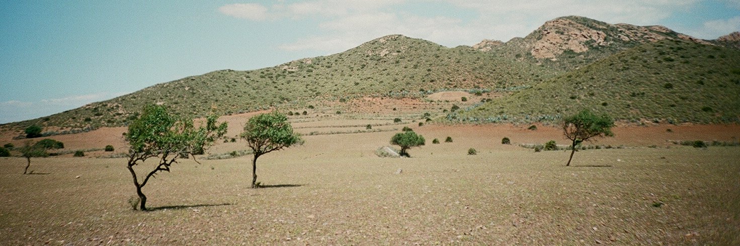 James Higgott banner
