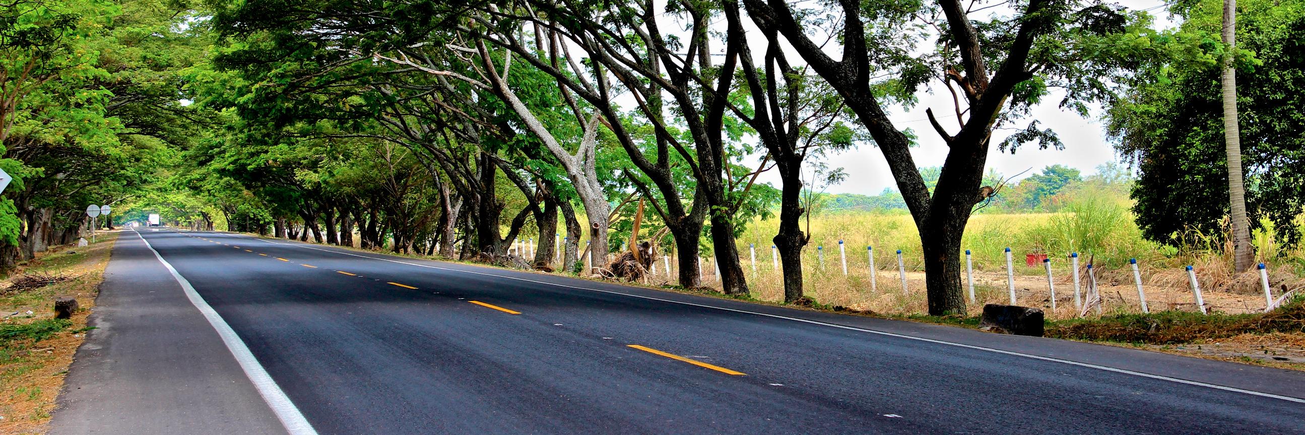 Luis Daniel Benavides banner