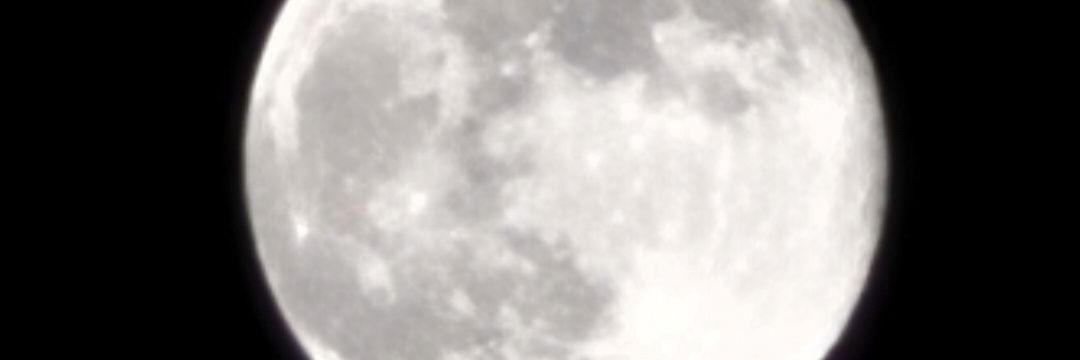 mkdebs's profile banner image