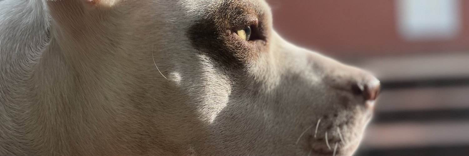 Harold_ymr's profile banner image