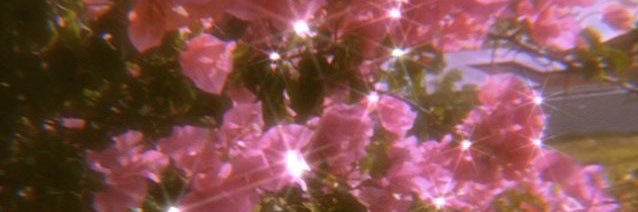 GiGiDLaCruz's profile banner image