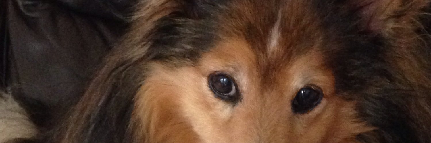 McPhailNat's profile banner image