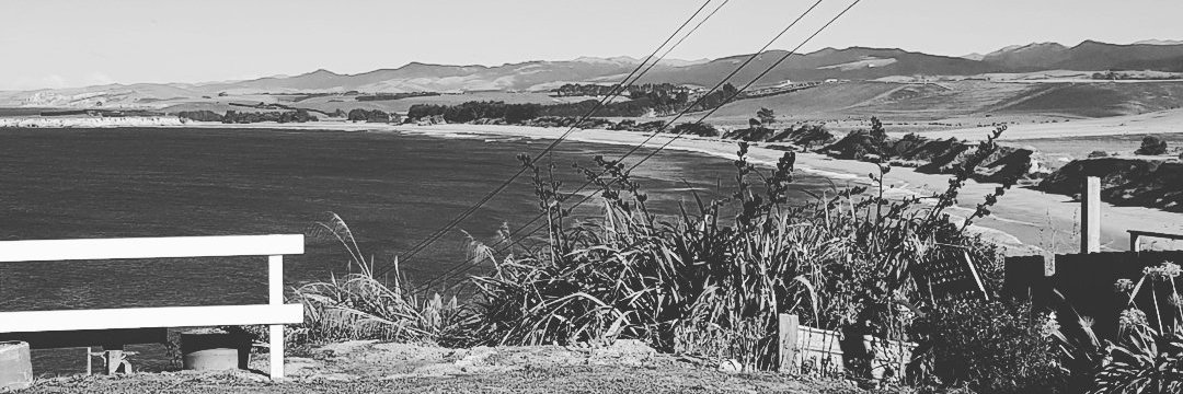 Marius Schmidt banner