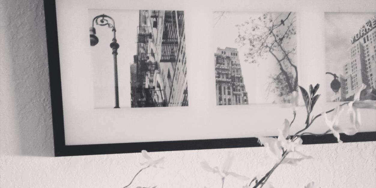 CuriousSpirit's profile banner image