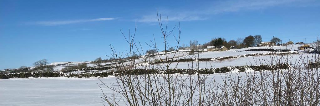 John Rollason banner