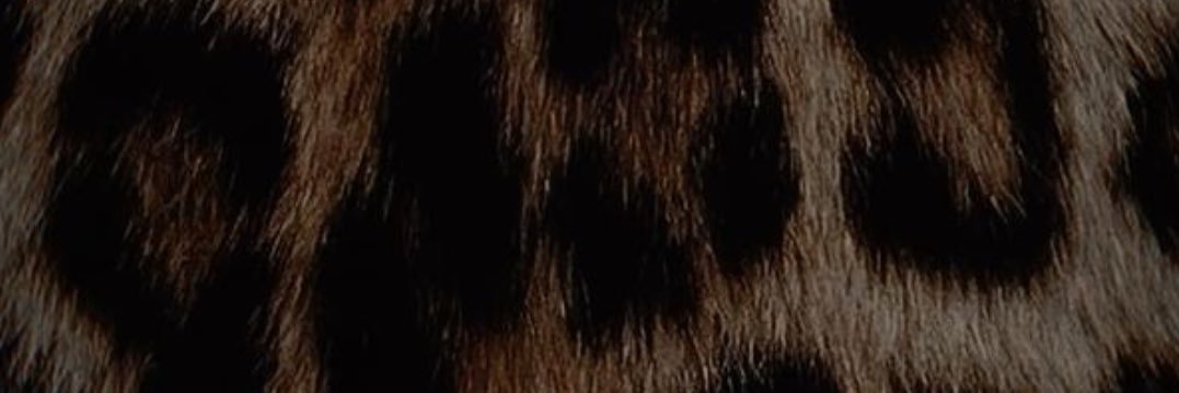 𓏵‧₊˚ ┊ deu !! banner