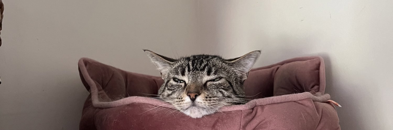 Cassidgaf's profile banner image
