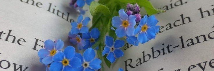 ✧ ᴀsᴛᴇʀɪᴀ ✧ banner