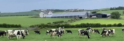 William Chestnutt banner