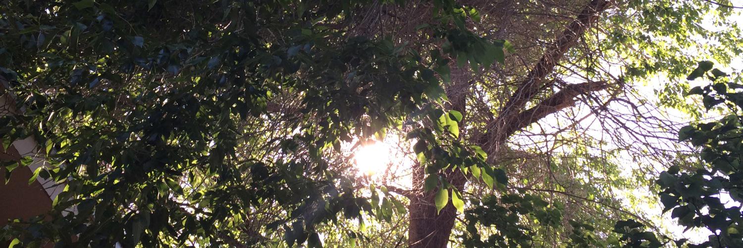 elbs12's profile banner image