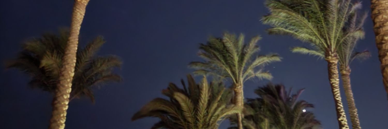 djnorthall's profile banner image