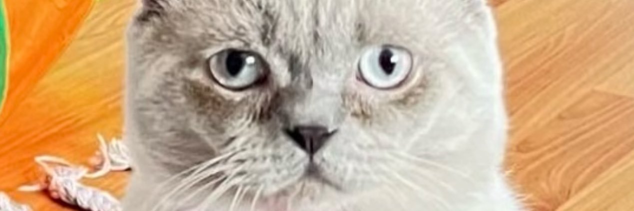 ebrubartu's profile banner image
