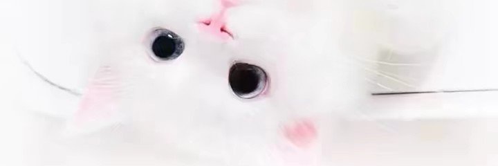 y1han08's profile banner image