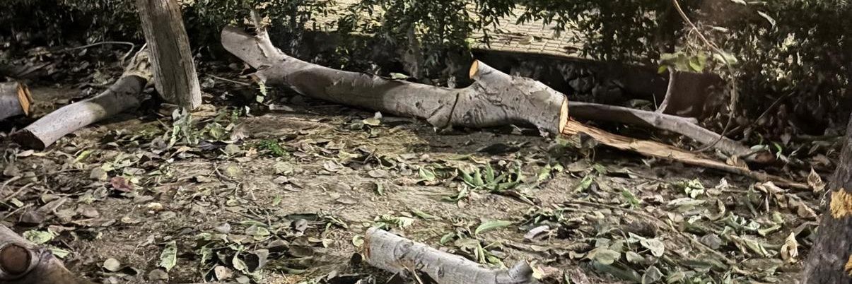 Save 15a Noida park banner