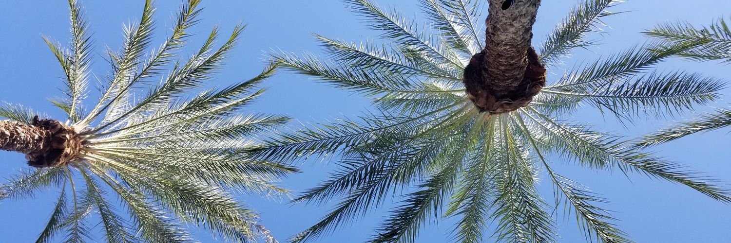 elyssashjon's profile banner image