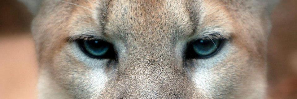 mexdontworry's profile banner image