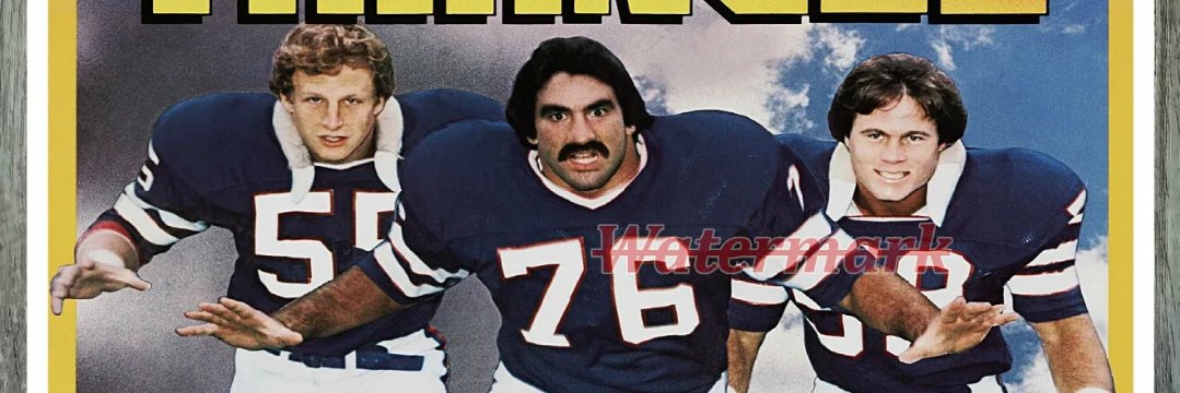 hswankler's profile banner image