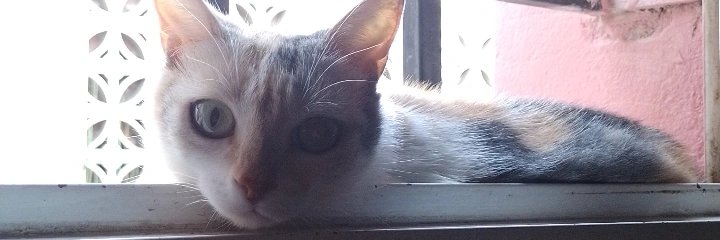 Lurrid_'s profile banner image