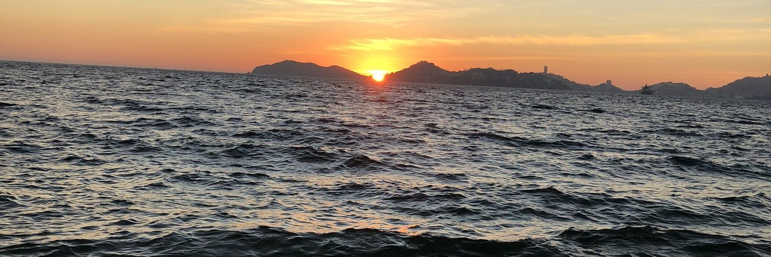 SAVAGE (Single) banner