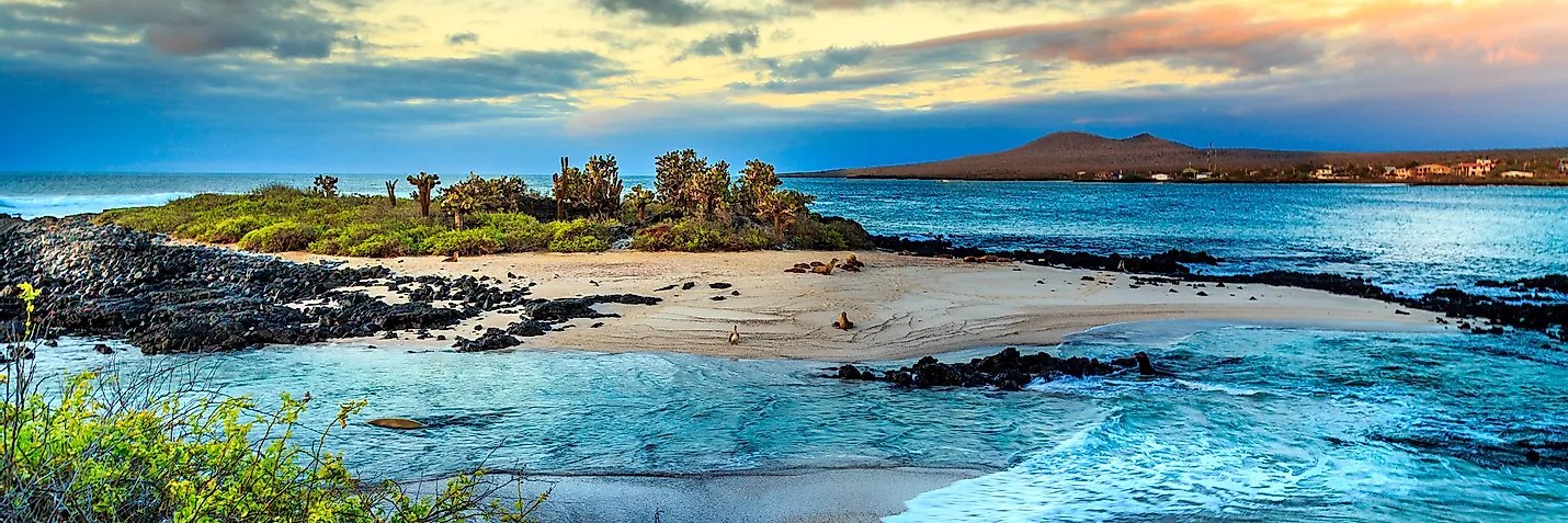 Andy Burman 🇺🇦💙🏉🍽🐈‍⬛🇱🇹😷 ✡ banner