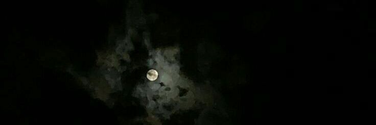 MicaelaDecima91's profile banner image