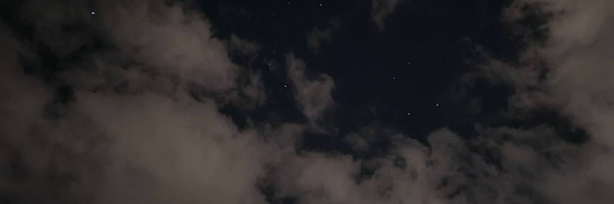 ꜀( ^. .^) banner