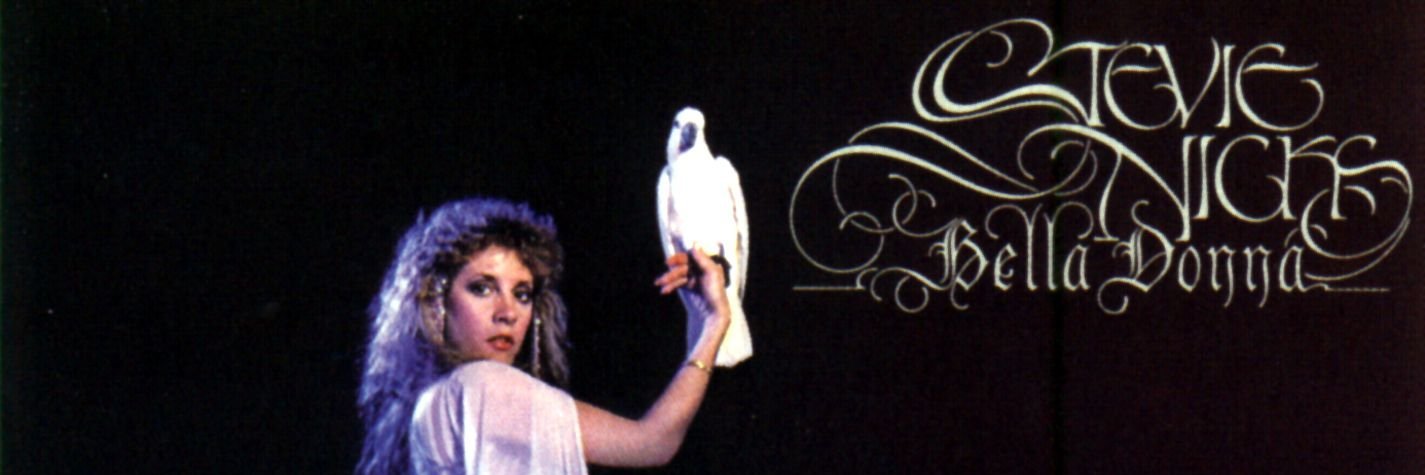 everything stevie nicks banner