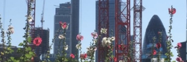 Robert Butler banner