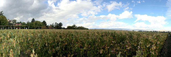 zanedev Profile Banner