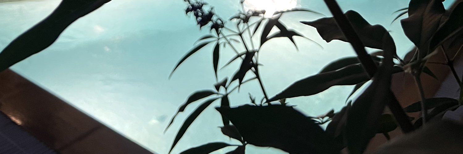 esrsi's profile banner image