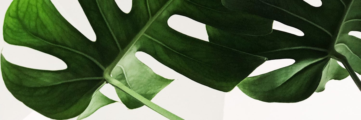 S. banner