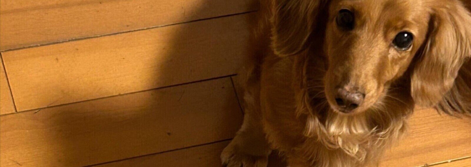 Razza44's profile banner image